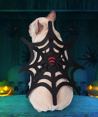 [러비캣] 할로윈 거미줄 코스튬 . 강아지 고양이옷